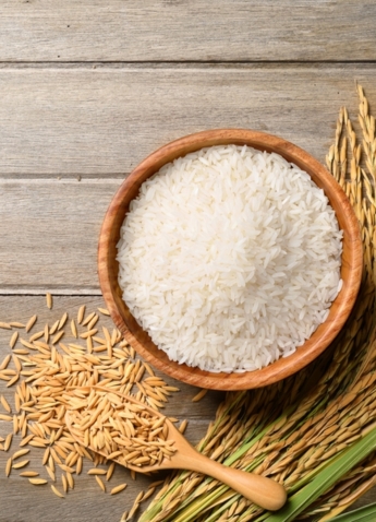 Basmati Rice Exporter