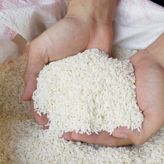 Spices Export Company