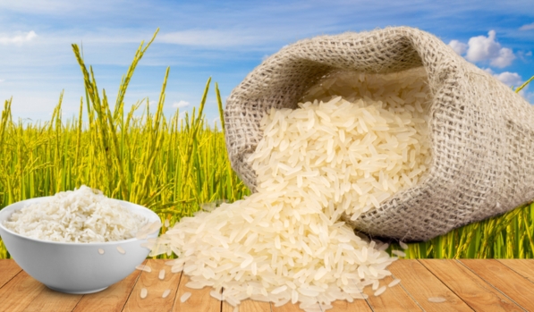 Basmati Rice Exporter