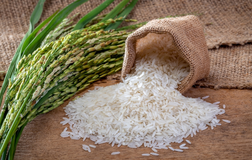 Organic Rice India