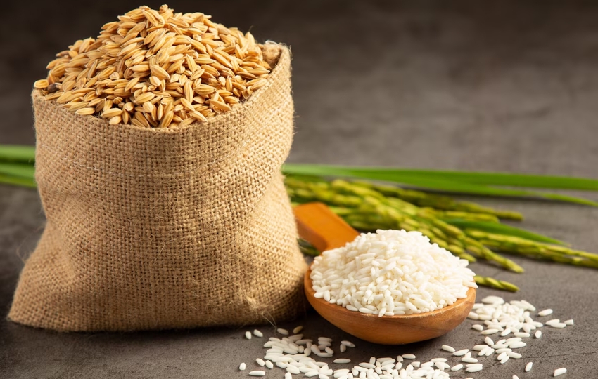 Basmati Rice Exporter