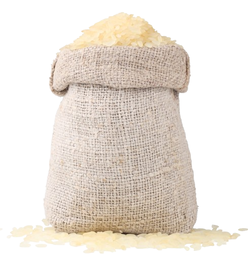 IR36 Rice